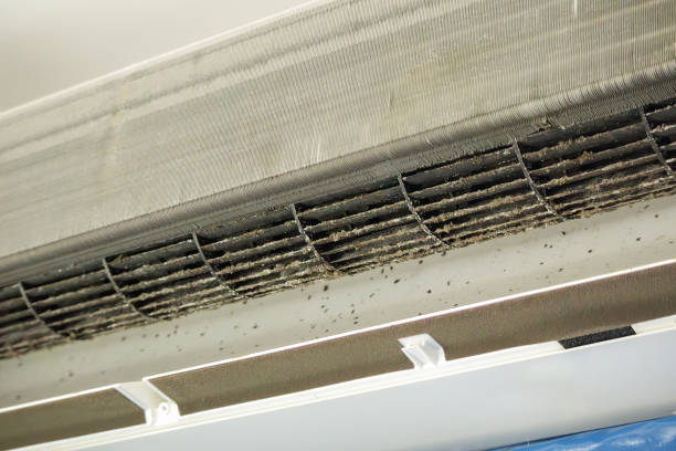 Air Duct Mold Removal in Lockney, TX